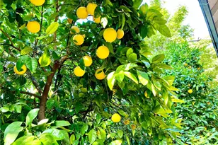 906 Lombard Dr, Redlands, CA 92374 - Photo 1