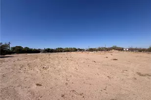 45447 Riverside Rd, Newberry Springs, CA 92365 - Photo 1