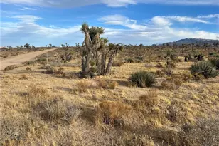 23926 Poppy Rd, Apple Valley, CA 92308 - Photo 1