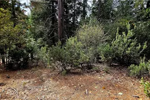 308 Pioneer Rd, Lake Arrowhead, CA 92352 - Photo 1