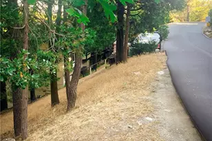 1274 Evergreen Ln, Lake Arrowhead, CA 92352 - Photo 1