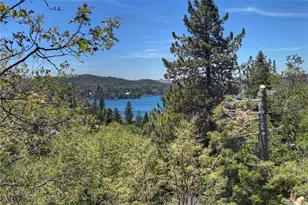 394 Emerald Dr, Lake Arrowhead, CA 92352 - Photo 1