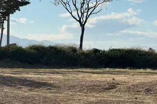 29485 Corral Rd, Helendale, CA 92342 - Photo 1