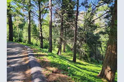 811 Deer Trail, Crestline, CA 92325 - Photo 1