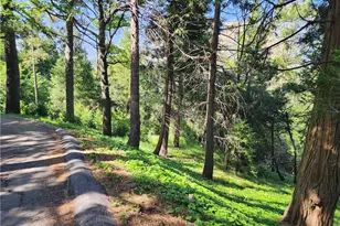 811 Deer Trail, Crestline, CA 92325 - Photo 1