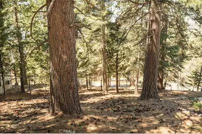 30908 Glen Oak, Running Springs, CA 92382 - Photo 1