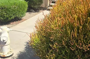 1365 Crafton Ave, Mentone, CA 92359 - Photo 1