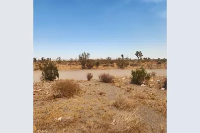 1595 La Mesa Road, Pinon Hills, CA 92371 - Photo 1