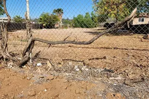 0 Arlington, Riverside, CA 92505 - Photo 1