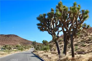56448 Skyline Ranch Rd, Yucca Valley, CA 92284 - Photo 1