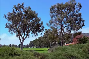 30411 Mirador Ct, Laguna Niguel, CA 92677 - Photo 1