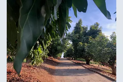 1313 Rice Canyon Rd, Fallbrook, CA 92028 - Photo 1