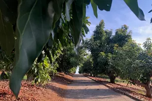 1313 Rice Canyon Rd, Fallbrook, CA 92028 - Photo 1