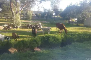 6490 Rainbow Heights Rd, Fallbrook, CA 92028 - Photo 1