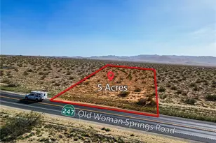 51199 Old Woman Springs, Johnson Valley, CA 92285 - Photo 1