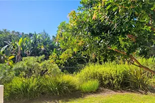 34146 Selva Rd, Dana Point, CA 92629 - Photo 1