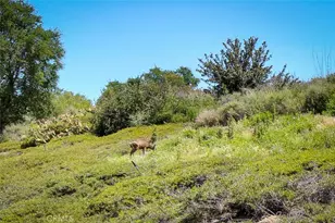 85 Mira Mesa, Rancho Santa Margarita, CA 92688 - Photo 1