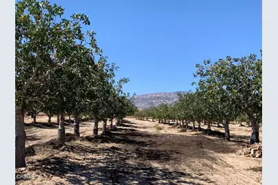 10080 Santa Fe Fire Road, Lucerne Valley, CA 92356 - Photo 1
