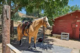 11123 Moreno Ave, Lakeside, CA 92040 - Photo 1