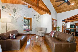 4576 Luneta Dr, Julian, CA 92036 - Photo 1