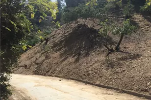 635 Pheasant Dr, Los Angeles, CA 90065 - Photo 1