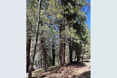 25648 Hi Lane, Twin Peaks, CA 92391 - Photo 1