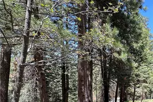 25648 Hi Ln, Twin Peaks, CA 92391 - Photo 1