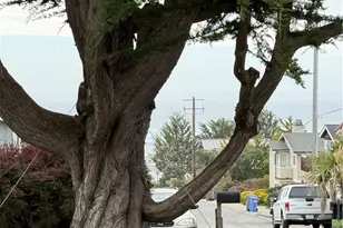 370 Castle St, Cambria, CA 93428 - Photo 1