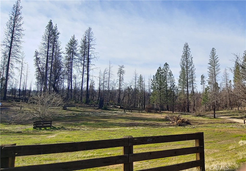 41 Raccoon Rd, Berry Creek, CA 95916 MLS SN23004938 Coldwell Banker