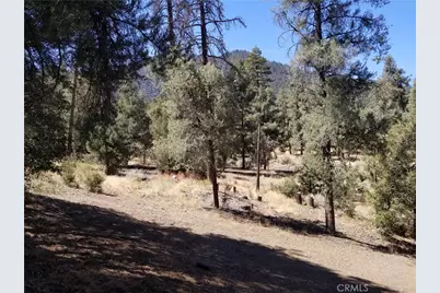 1912 Ironwood Drive, Pine Mountain Club, CA 93222 - Photo 1