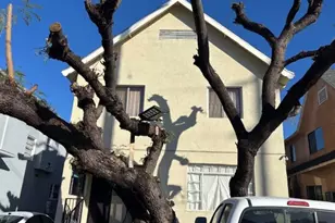3119 Manitou, Los Angeles, CA 90031 - Photo 1