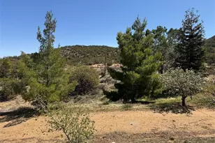 59975 Rimrock Canyon Rd, Anza, CA 92539 - Photo 1