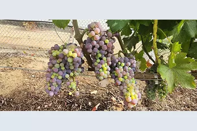 23903 Trail Duster Court, Perris, CA 92570 - Photo 1