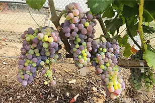 23903 Trail Duster Ct, Perris, CA 92570 - Photo 1