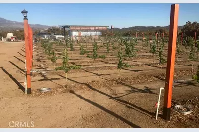 57820 Valley Vista Lane, Anza, CA 92539 - Photo 1