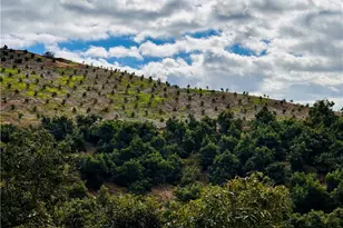 39725 Jones Rd, Fallbrook, CA 92028 - Photo 1