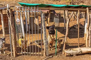 34265 Judith, Winchester, CA 92596 - Photo 51