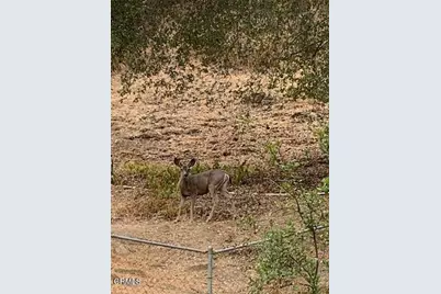 27326 Oak Summit Road, Agoura Hills, CA 91301 - Photo 1