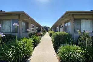 233 S Baldwin Ave, Arcadia, CA 91007 - Photo 1