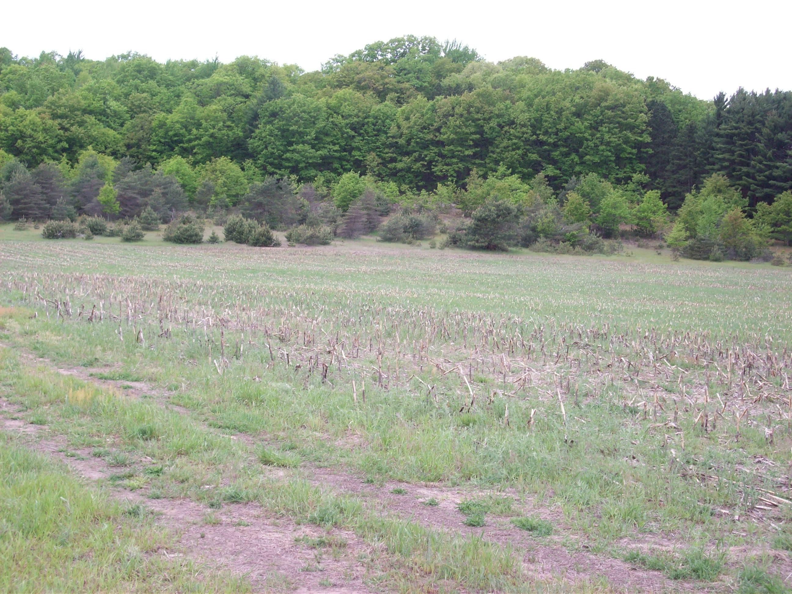 120 Howes Rd, Copemish, MI 49625 MLS 21019591 Coldwell Banker