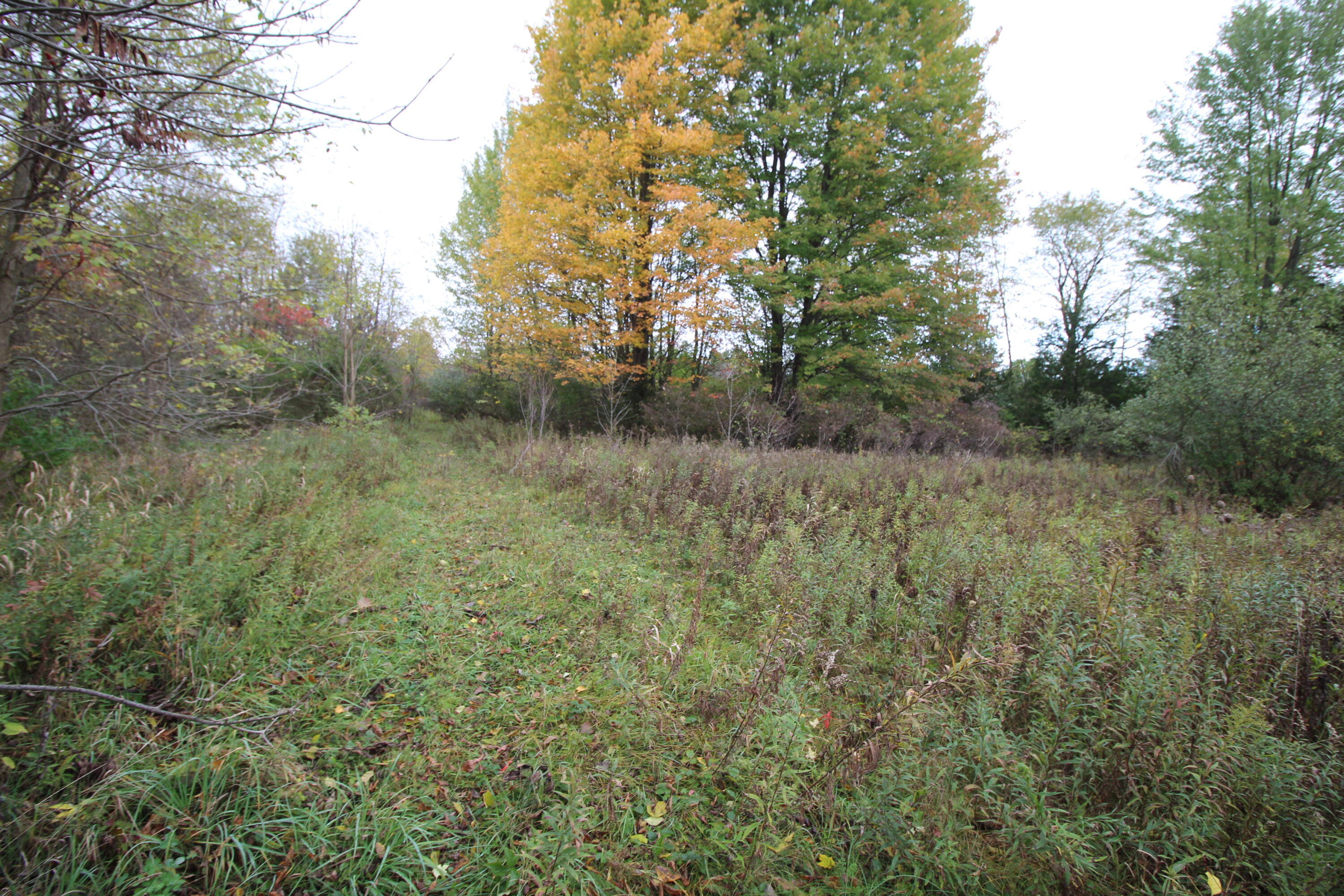 109th Ave, Pullman, MI 49450 MLS 21112203 Coldwell Banker