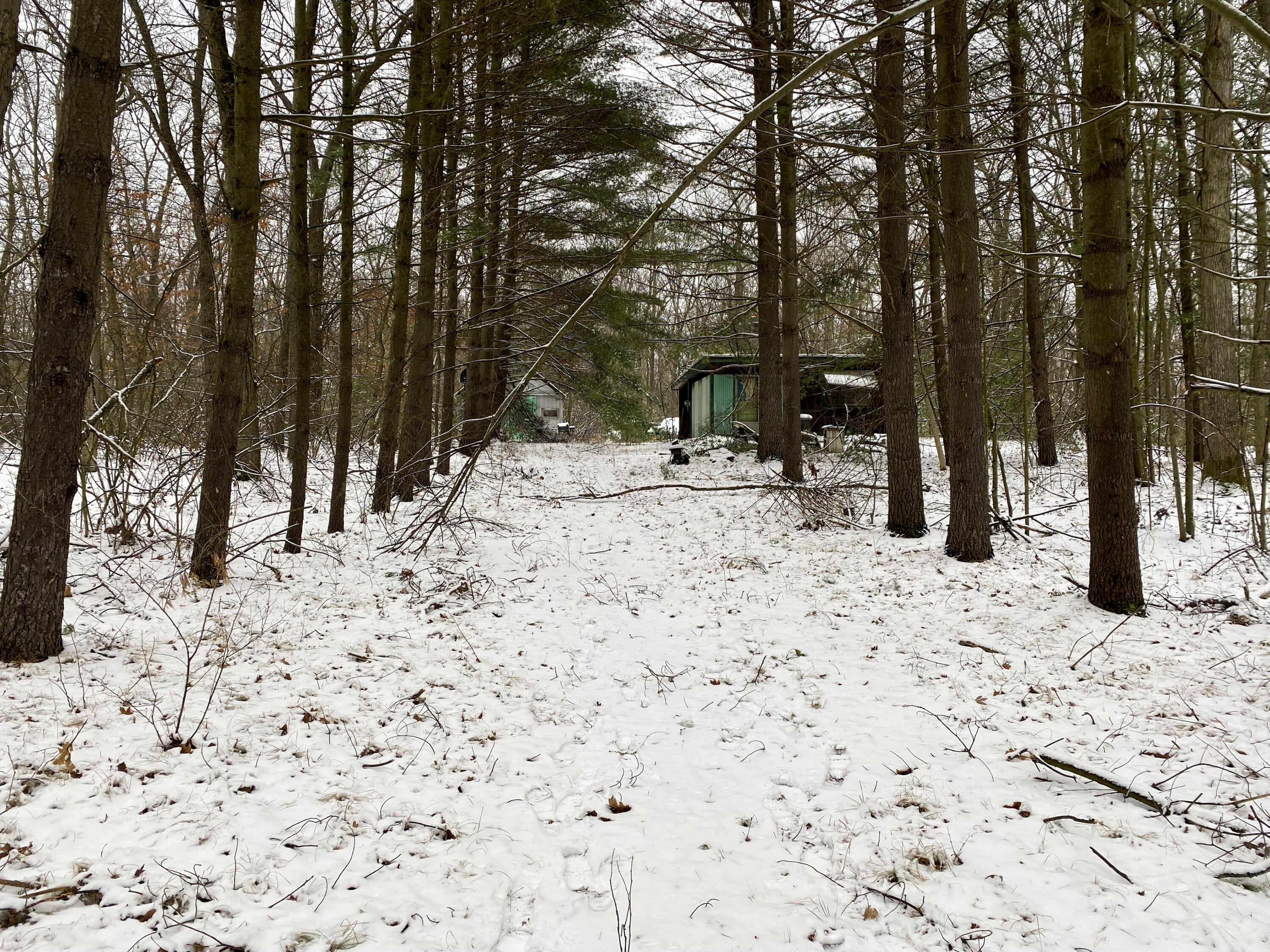 1734 Centerline Rd, White Cloud, MI 49349 MLS 22002249 Coldwell Banker