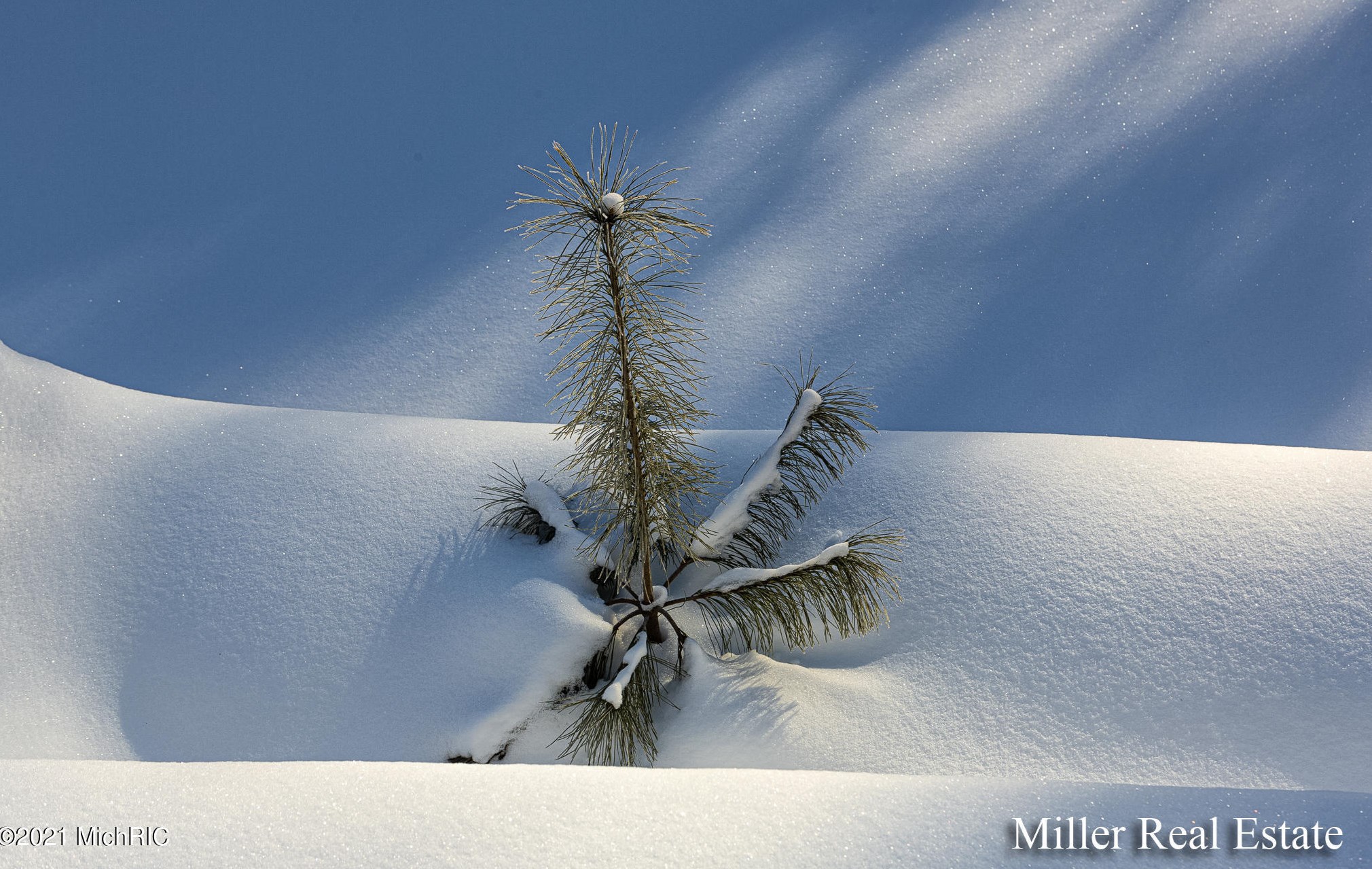 9042 M43, Delton MI 49046-9499 exterior