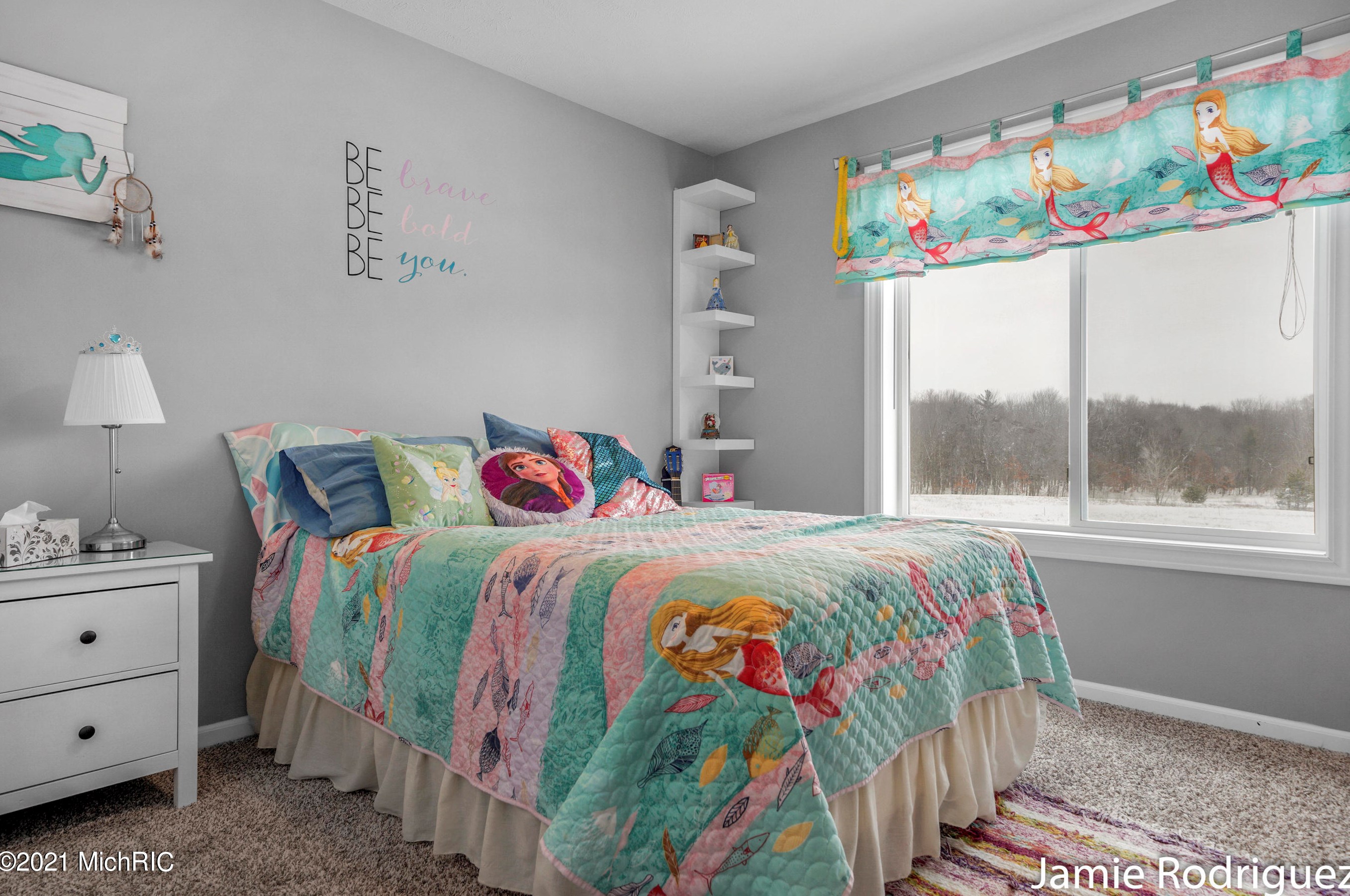 11734 Echo Ridge Dr, Sparta MI 49345-8121 exterior