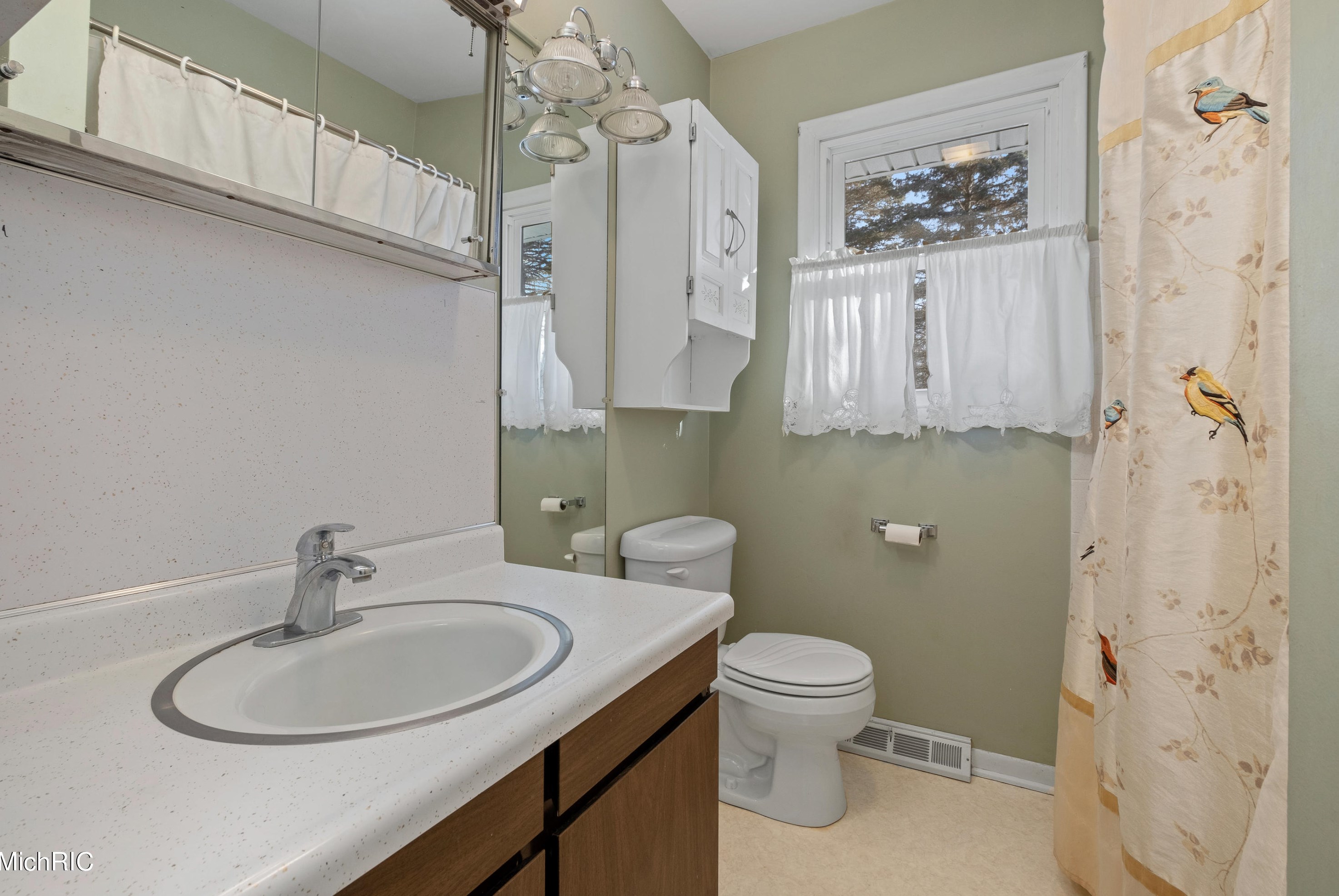 60 Wyandotte Ct, Saranac MI 48881-9509 exterior