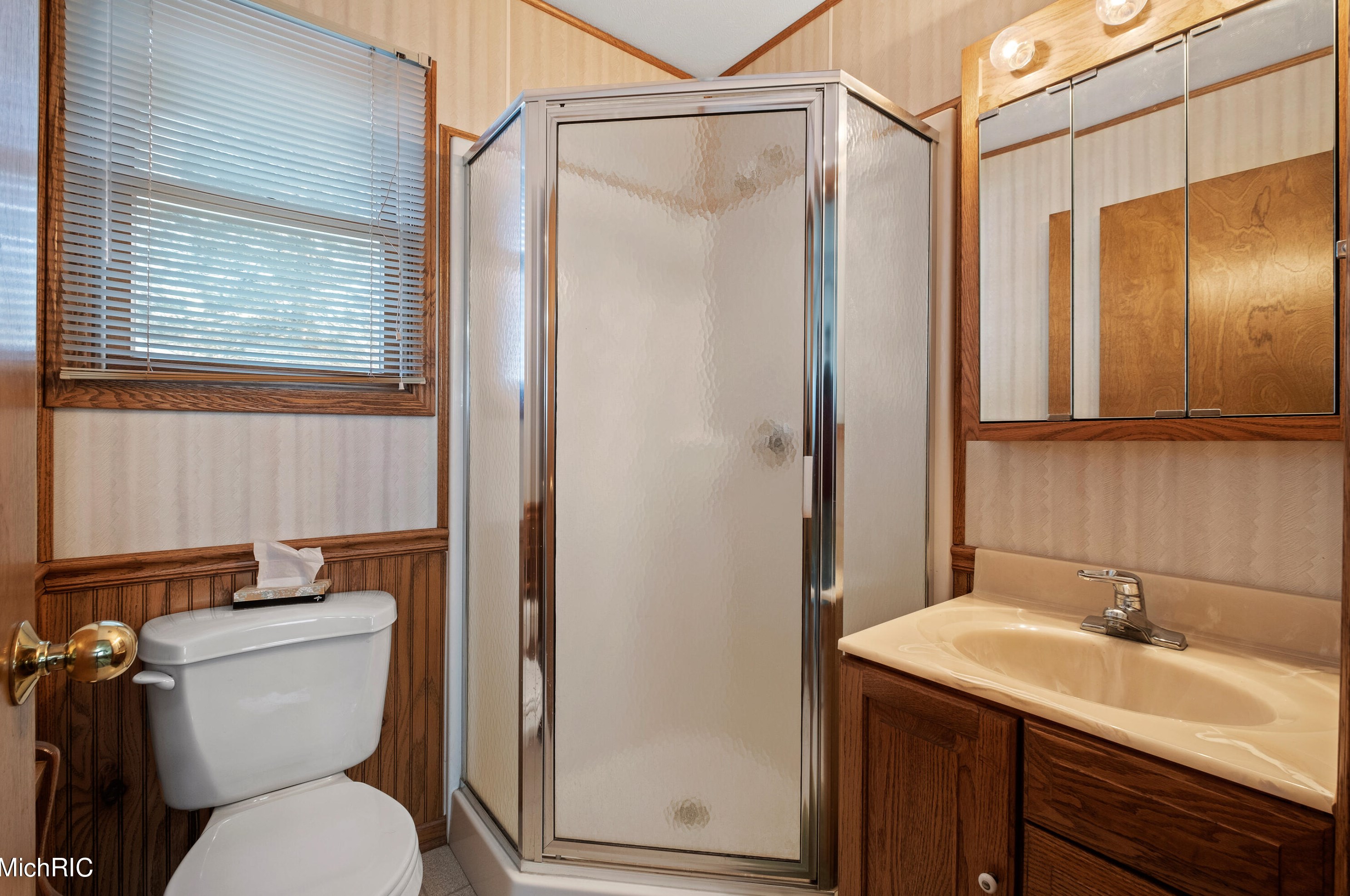 60 Wyandotte Ct, Saranac MI 48881-9509 exterior