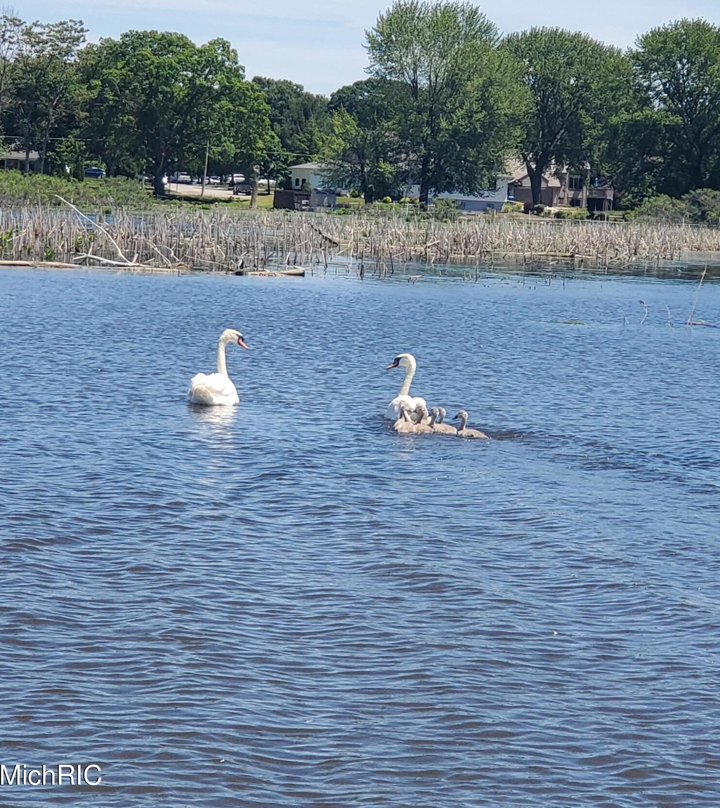 15489 Oak Dr, Spring Lake MI 49456-2147 exterior