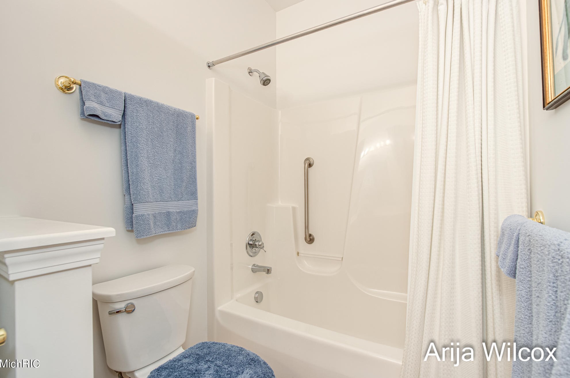 1289 Dogwood Mdw Dr, Ada MI 49301-9436 exterior