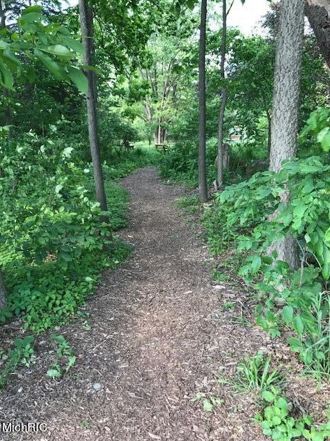 1289 Dogwood Mdw Dr, Ada MI 49301-9436 exterior