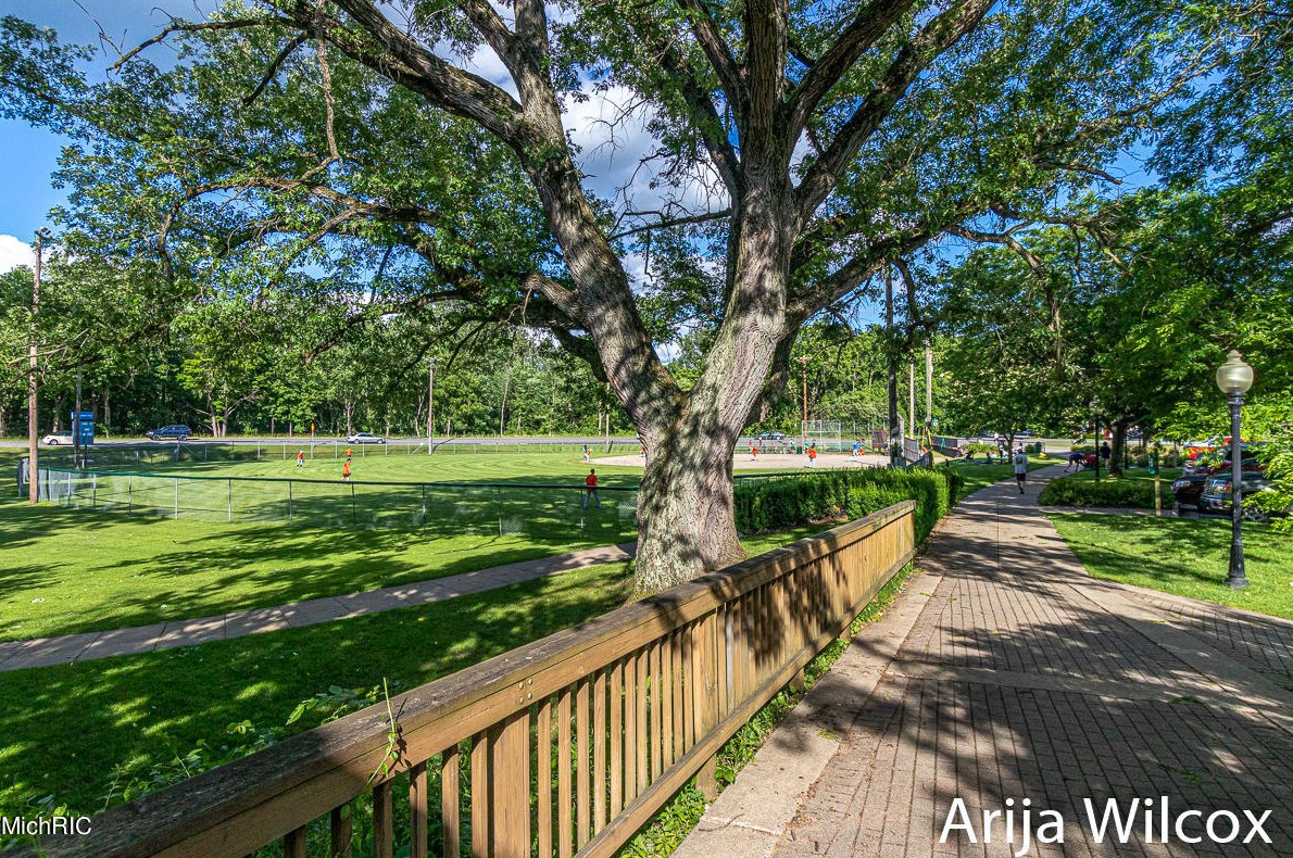 1289 Dogwood Mdw Dr, Ada MI 49301-9436 exterior